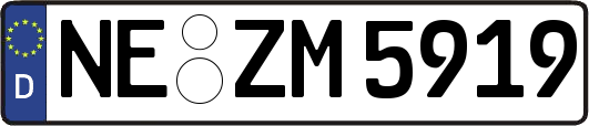 NE-ZM5919
