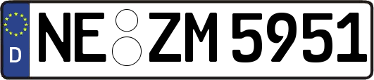 NE-ZM5951