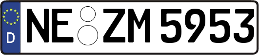 NE-ZM5953