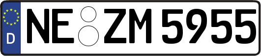 NE-ZM5955