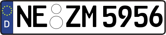 NE-ZM5956