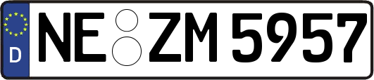 NE-ZM5957