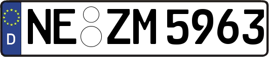NE-ZM5963