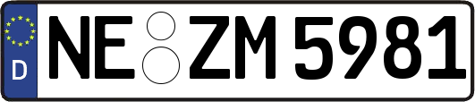 NE-ZM5981