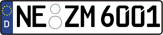 NE-ZM6001
