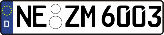 NE-ZM6003