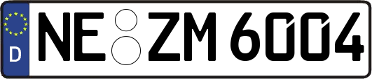 NE-ZM6004
