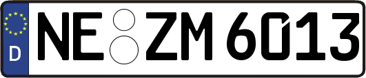 NE-ZM6013