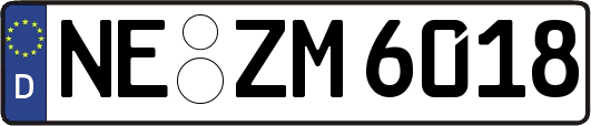 NE-ZM6018
