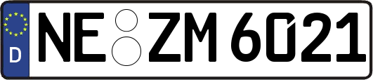 NE-ZM6021