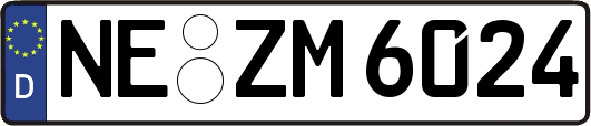 NE-ZM6024