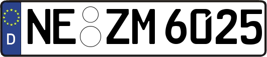 NE-ZM6025