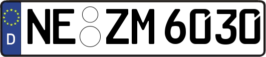 NE-ZM6030