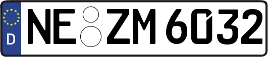 NE-ZM6032