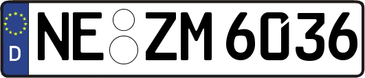 NE-ZM6036