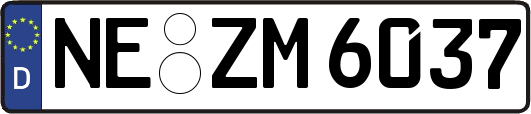 NE-ZM6037