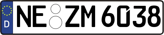 NE-ZM6038
