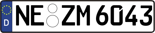 NE-ZM6043