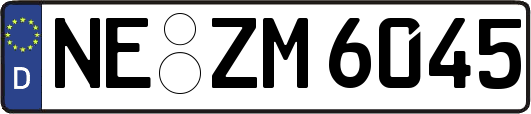 NE-ZM6045