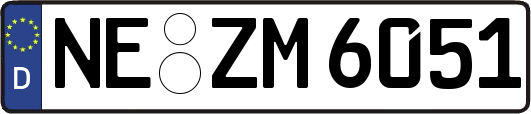 NE-ZM6051