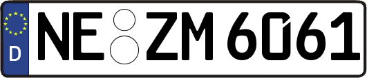NE-ZM6061