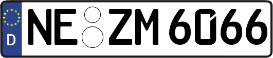 NE-ZM6066
