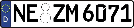 NE-ZM6071