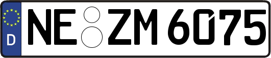 NE-ZM6075