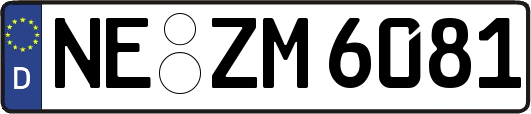NE-ZM6081