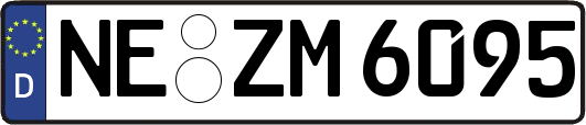 NE-ZM6095