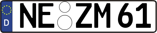 NE-ZM61