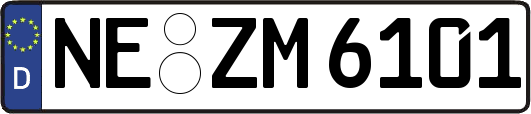 NE-ZM6101