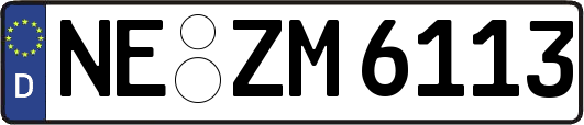 NE-ZM6113