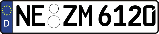 NE-ZM6120