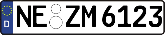 NE-ZM6123