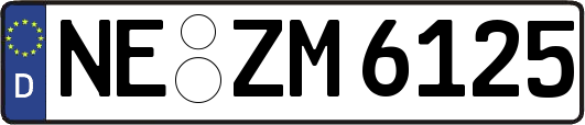 NE-ZM6125