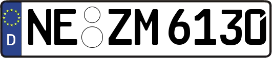 NE-ZM6130