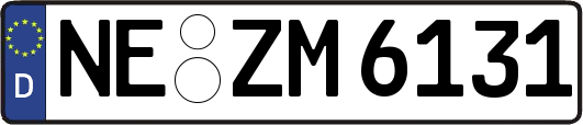 NE-ZM6131