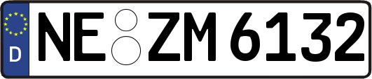 NE-ZM6132