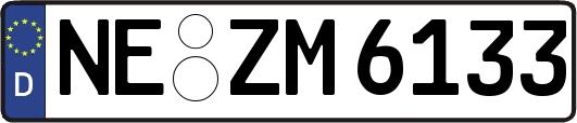 NE-ZM6133