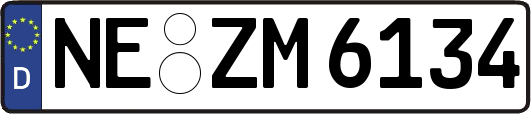NE-ZM6134