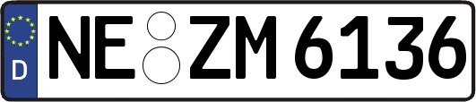 NE-ZM6136