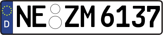 NE-ZM6137