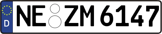 NE-ZM6147
