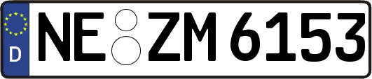 NE-ZM6153