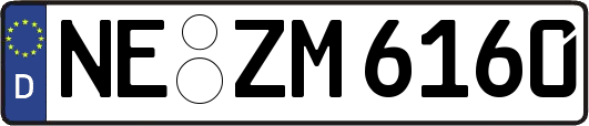 NE-ZM6160