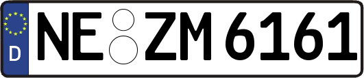 NE-ZM6161