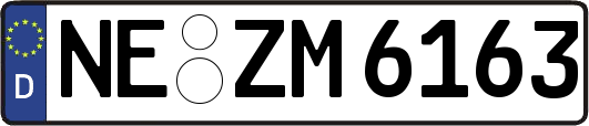 NE-ZM6163