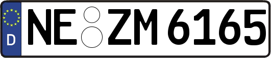NE-ZM6165