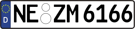 NE-ZM6166